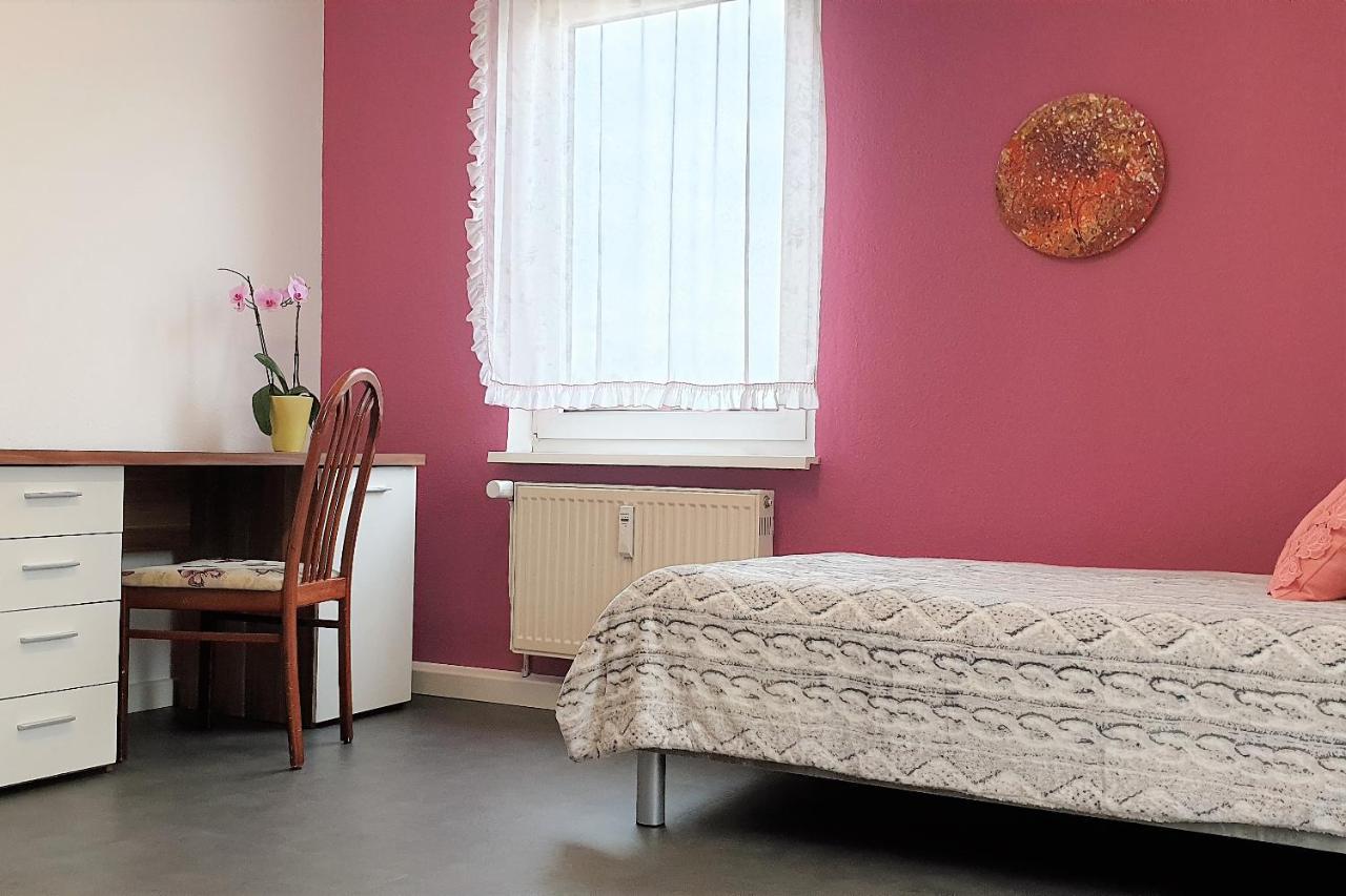 Apartment Bayreuth, Grosse Ferienwohnung Im Haus Mit Kunst, 3 Schlafzimmer, Kueche, Parkplatz Exteriér fotografie